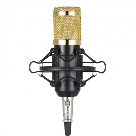 BM800 Condenser Microphone Lit Pro Audio Studio Recording & Brocasting Adjustable Mic Suspension Scissor Arm Pop Filter